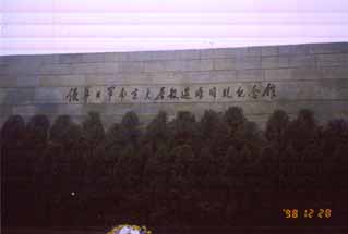 photo.D