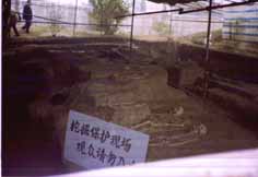 photo.E